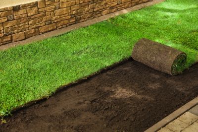 sod installation