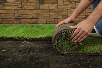 sod installation