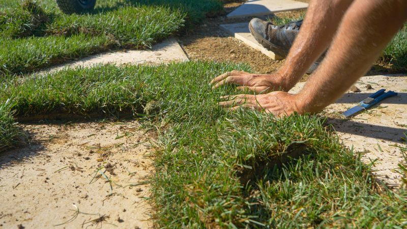 Lawn Repair and Replacement