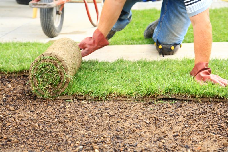 Sod Installation