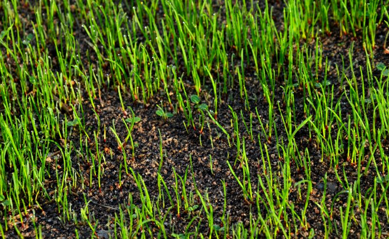 Winter Considerations